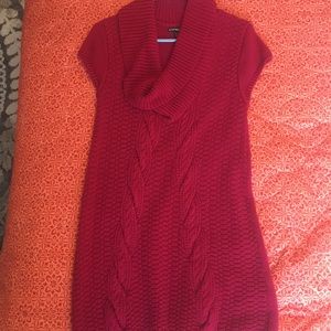 Express sweater dress